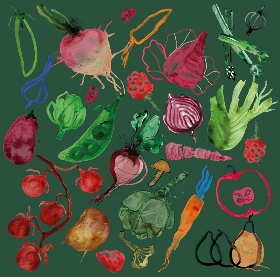 Illustrasjon som viser div grønnsaker på grønn bakgrunn